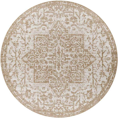 Appelscha Traditional Ivory Area Rug