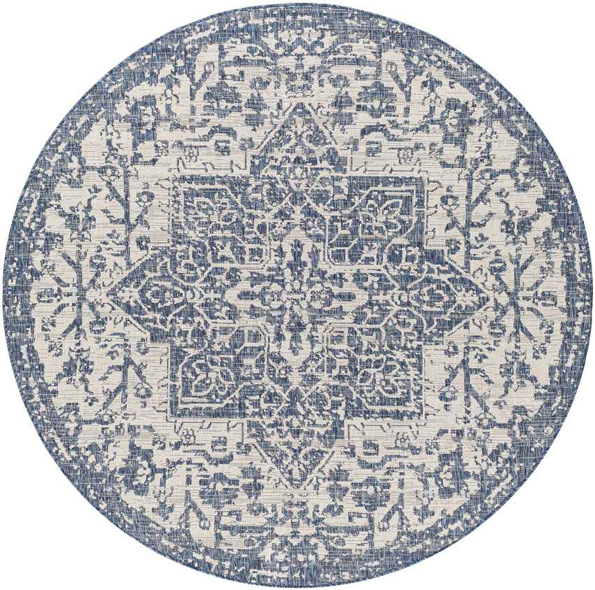 Appelscha Traditional Denim Area Rug