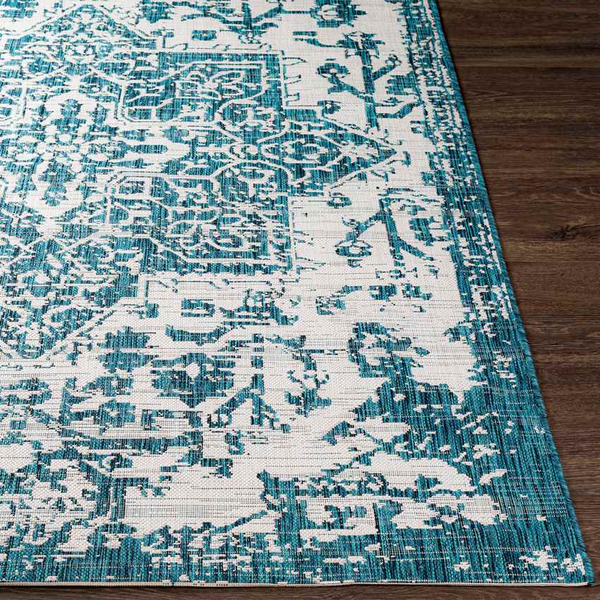Appelscha Traditional Green Area Rug