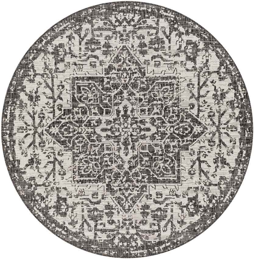 Appelscha Traditional Black Area Rug