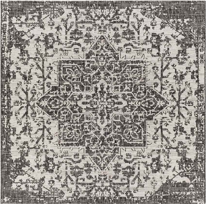 Appelscha Traditional Black Area Rug