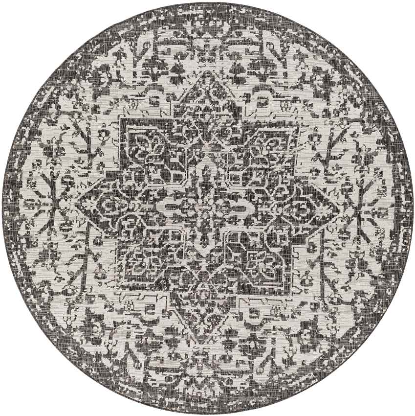 Appelscha Traditional Black Area Rug