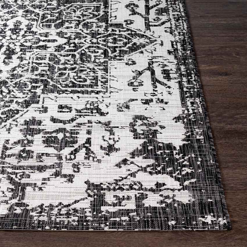 Appelscha Traditional Black Area Rug
