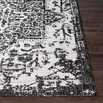 Appelscha Traditional Black Area Rug