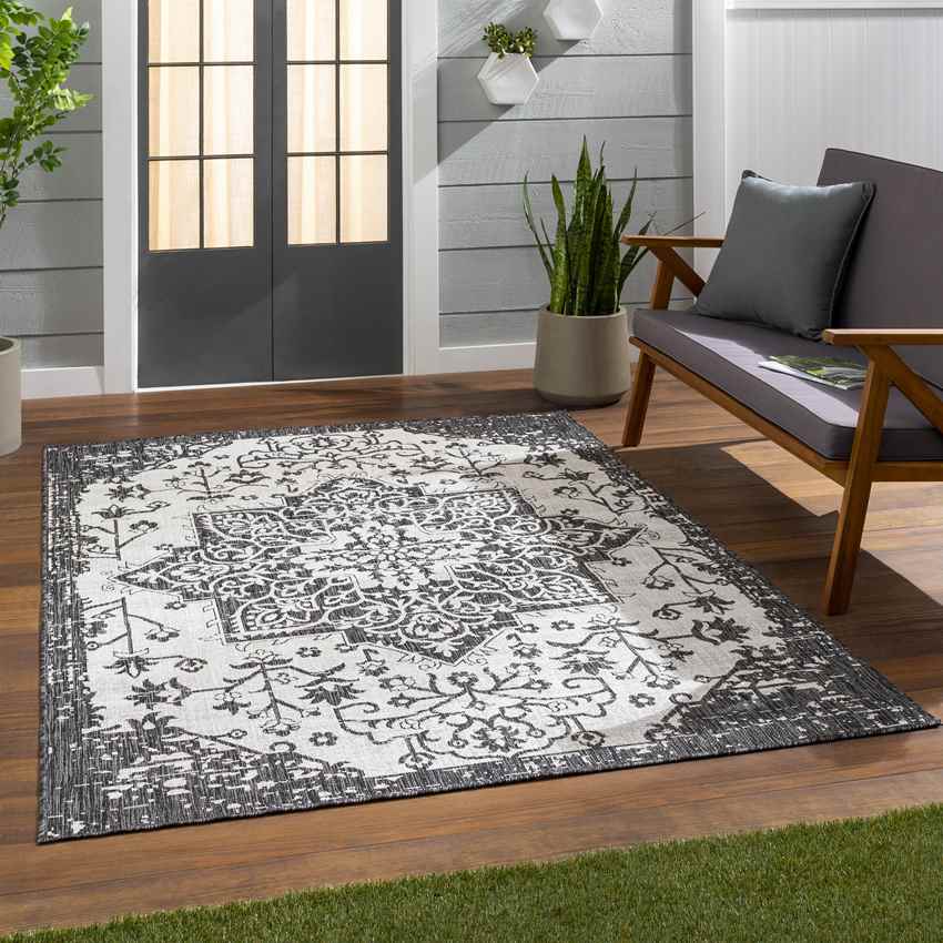 Appelscha Traditional Black Area Rug