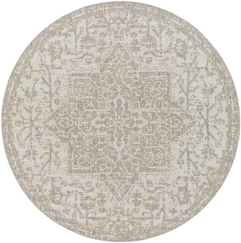 Appelscha Traditional Taupe Area Rug