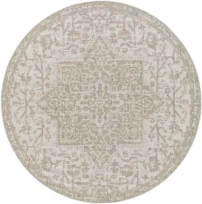 Appelscha Traditional Taupe Area Rug