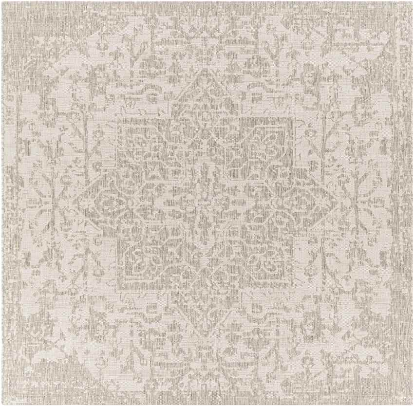 Appelscha Traditional Taupe Area Rug