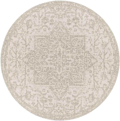 Appelscha Traditional Taupe Area Rug