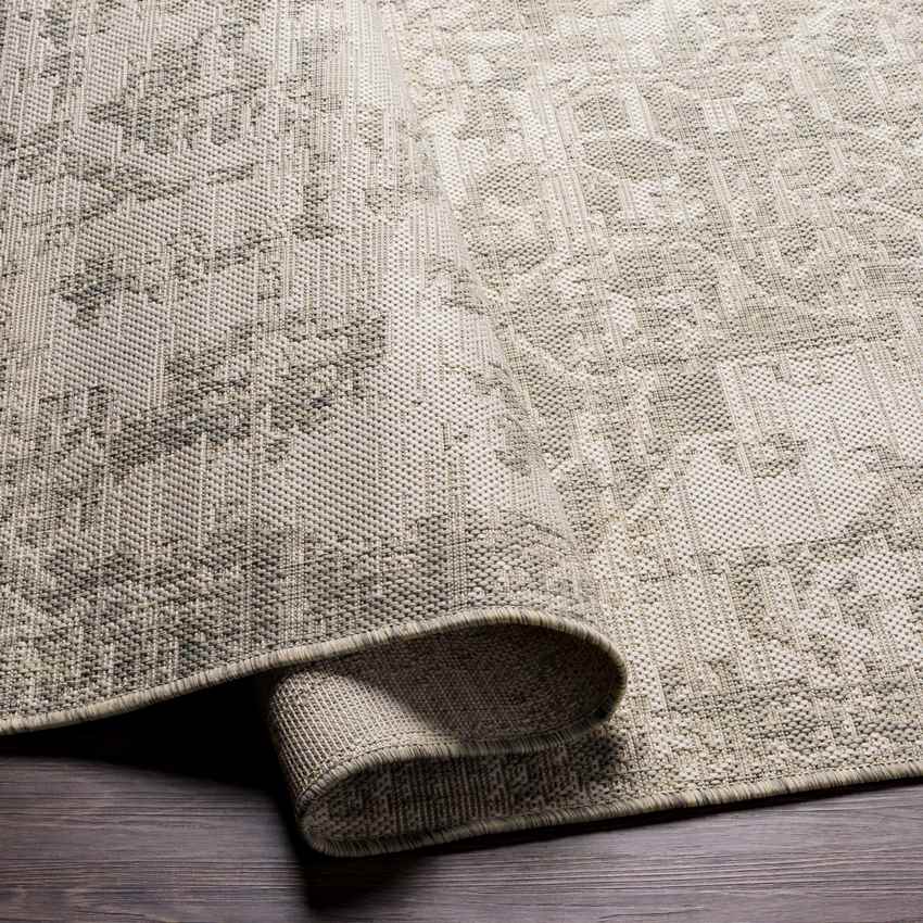 Appelscha Traditional Taupe Area Rug
