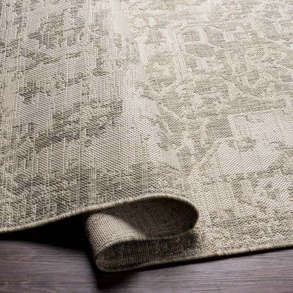Appelscha Traditional Taupe Area Rug