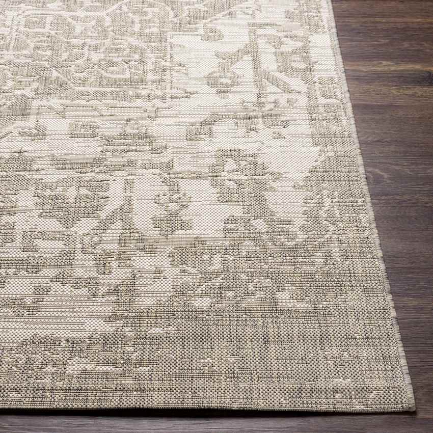 Appelscha Traditional Taupe Area Rug