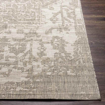 Appelscha Traditional Taupe Area Rug