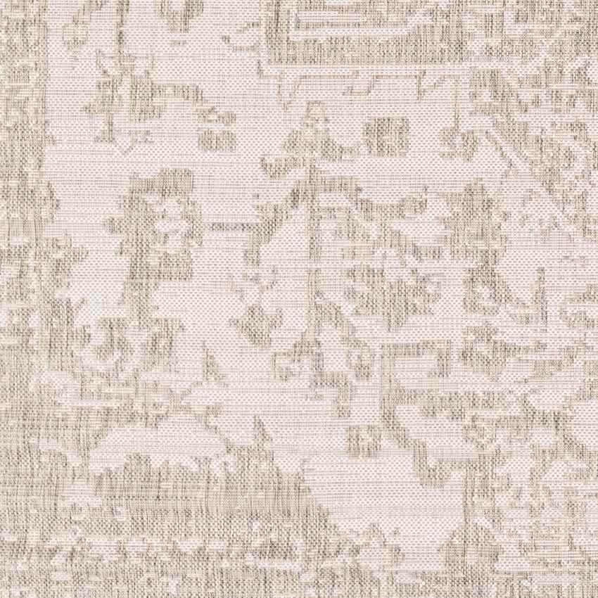 Appelscha Traditional Taupe Area Rug