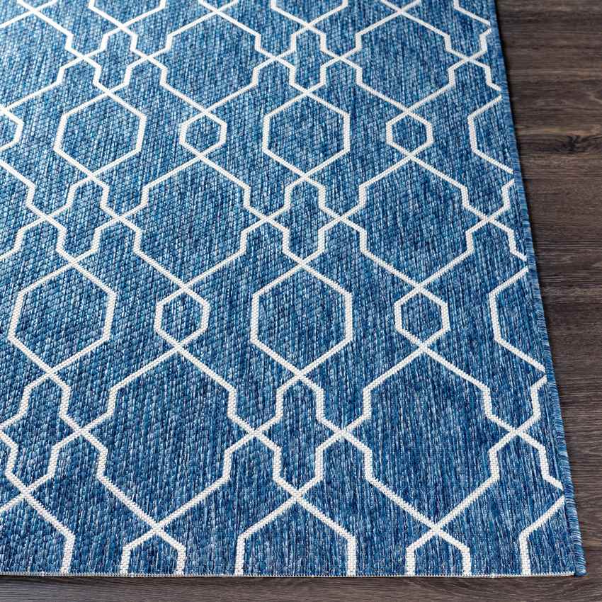 Valentijn Traditional Denim Area Rug