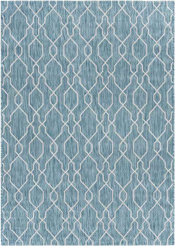 Valentijn Traditional Sky Blue Area Rug