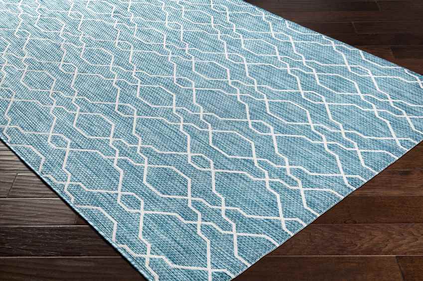 Valentijn Traditional Sky Blue Area Rug