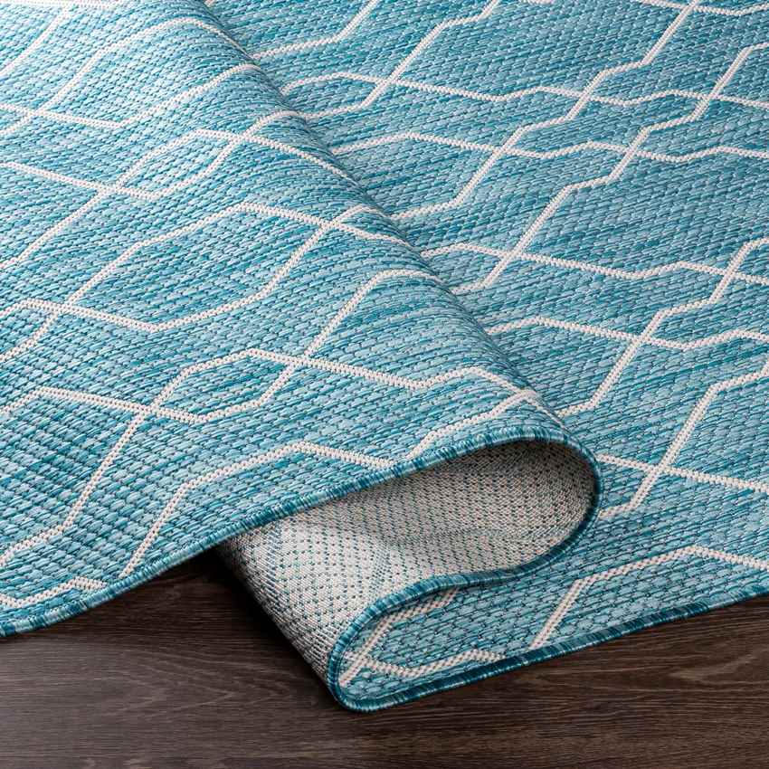 Valentijn Traditional Sky Blue Area Rug