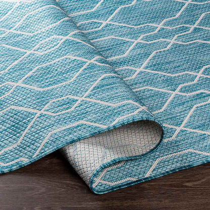 Valentijn Traditional Sky Blue Area Rug