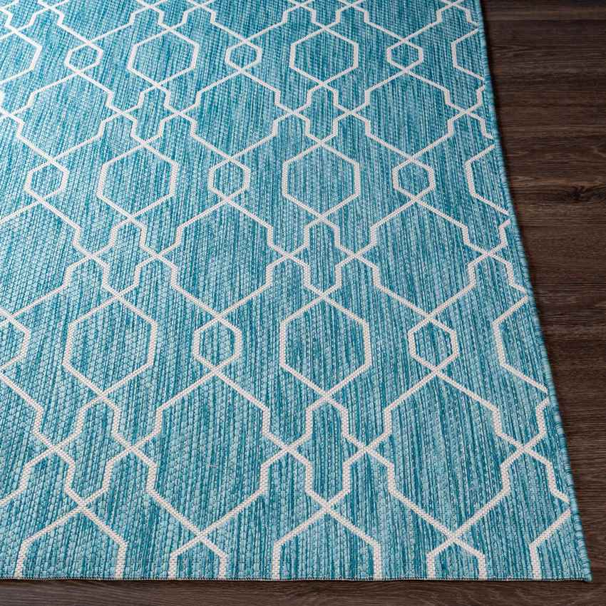 Valentijn Traditional Sky Blue Area Rug