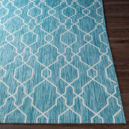Valentijn Traditional Sky Blue Area Rug