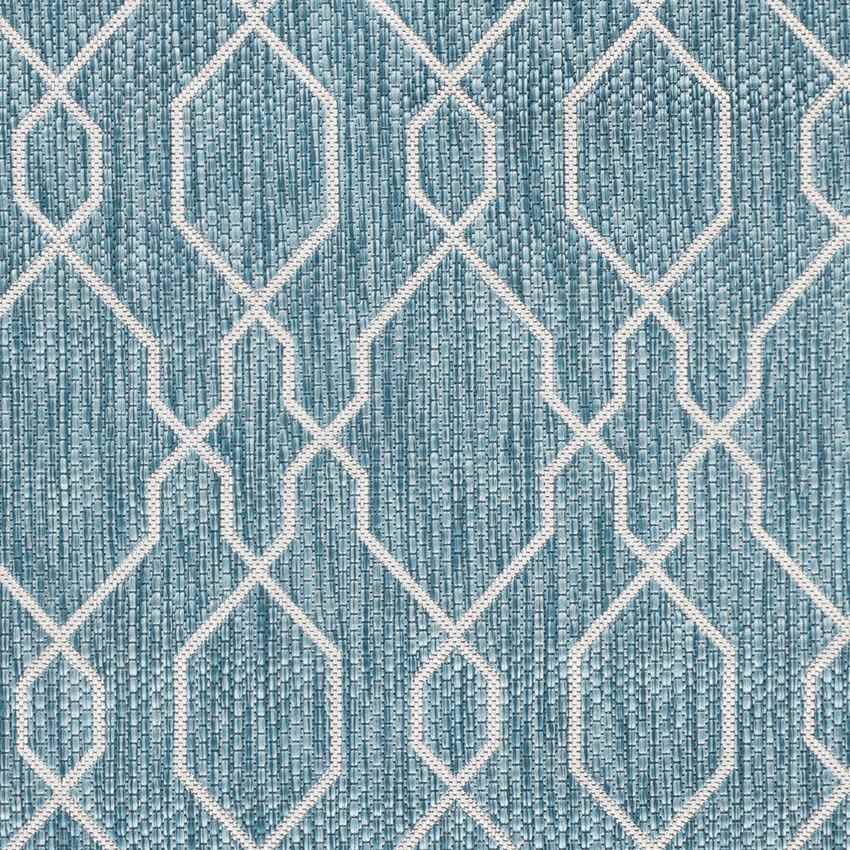 Valentijn Traditional Sky Blue Area Rug