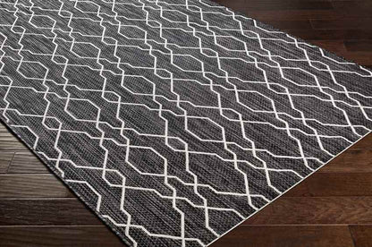 Valentijn Traditional Dark Gray Area Rug