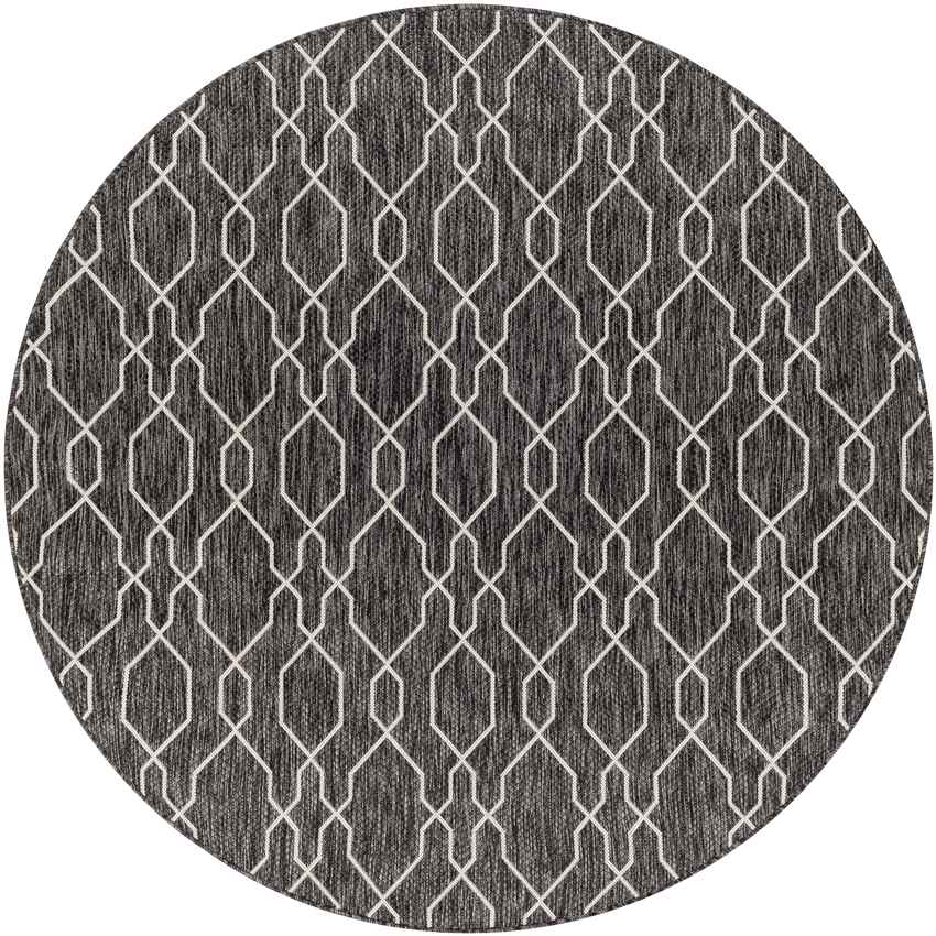 Valentijn Traditional Dark Gray Area Rug