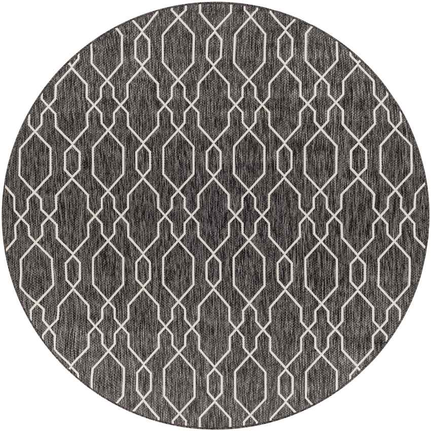 Valentijn Traditional Dark Gray Area Rug