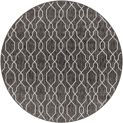 Valentijn Traditional Dark Gray Area Rug