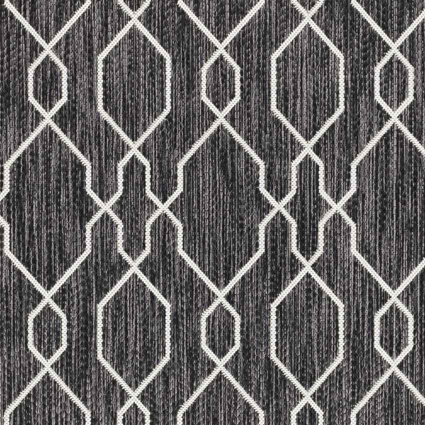 Valentijn Traditional Dark Gray Area Rug