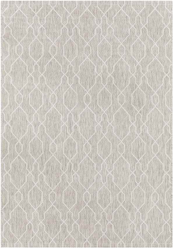 Valentijn Traditional Beige Area Rug