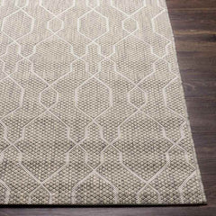 Valentijn Traditional Beige Area Rug