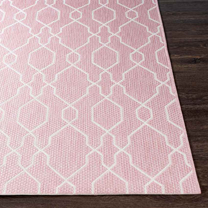 Valentijn Traditional Pink Area Rug