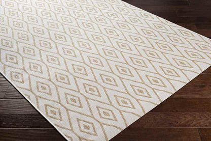 Varssel Traditional Burned Orange Area Rug