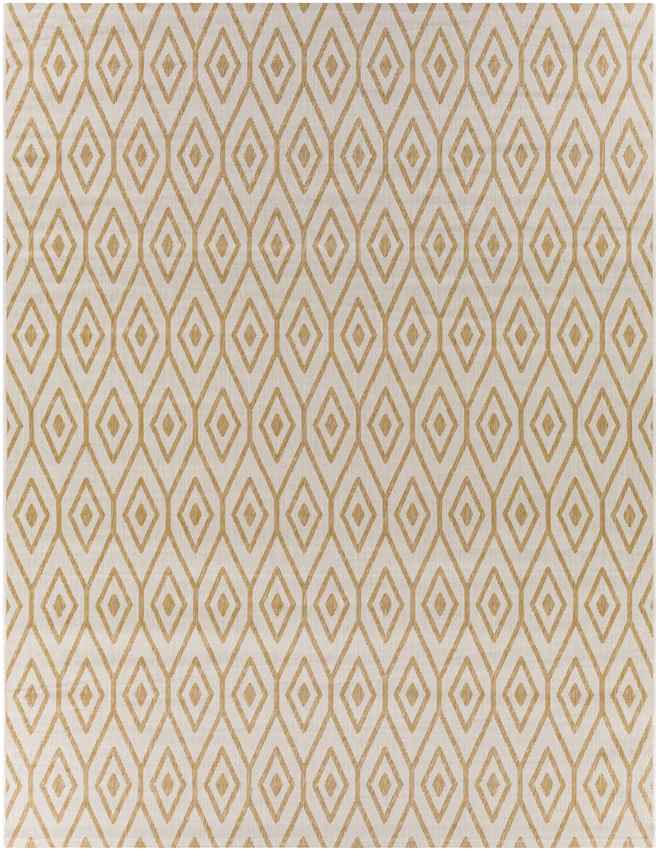 Varssel Traditional Burned Orange Area Rug