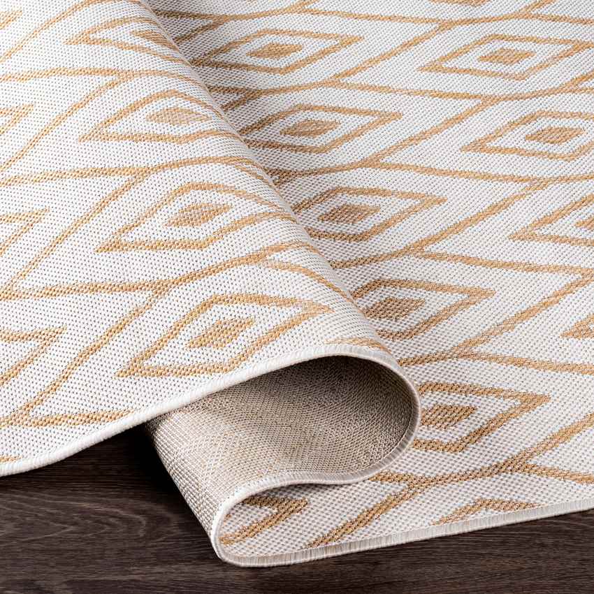 Varssel Traditional Burned Orange Area Rug