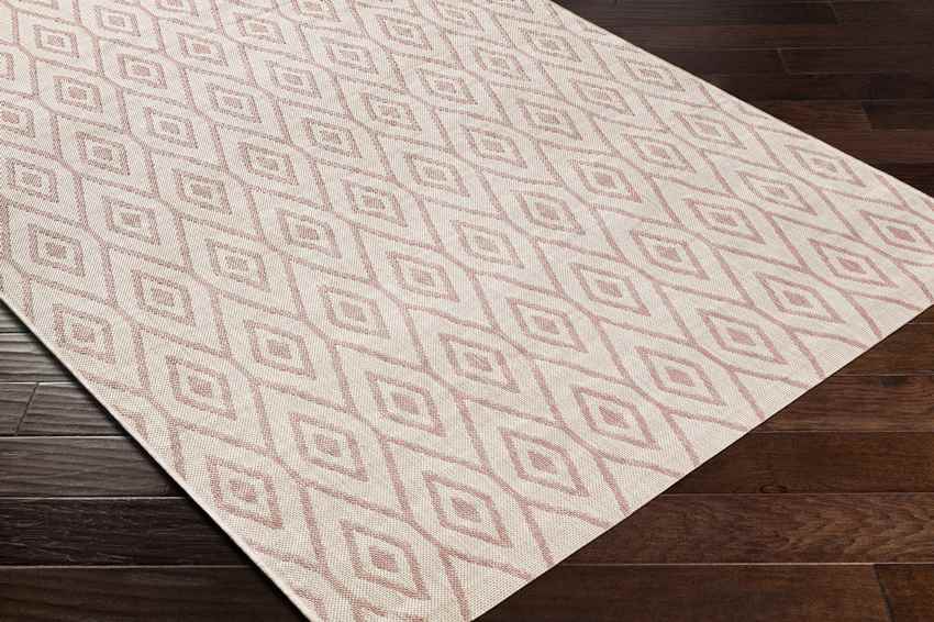Varssel Traditional Pale Pink Area Rug