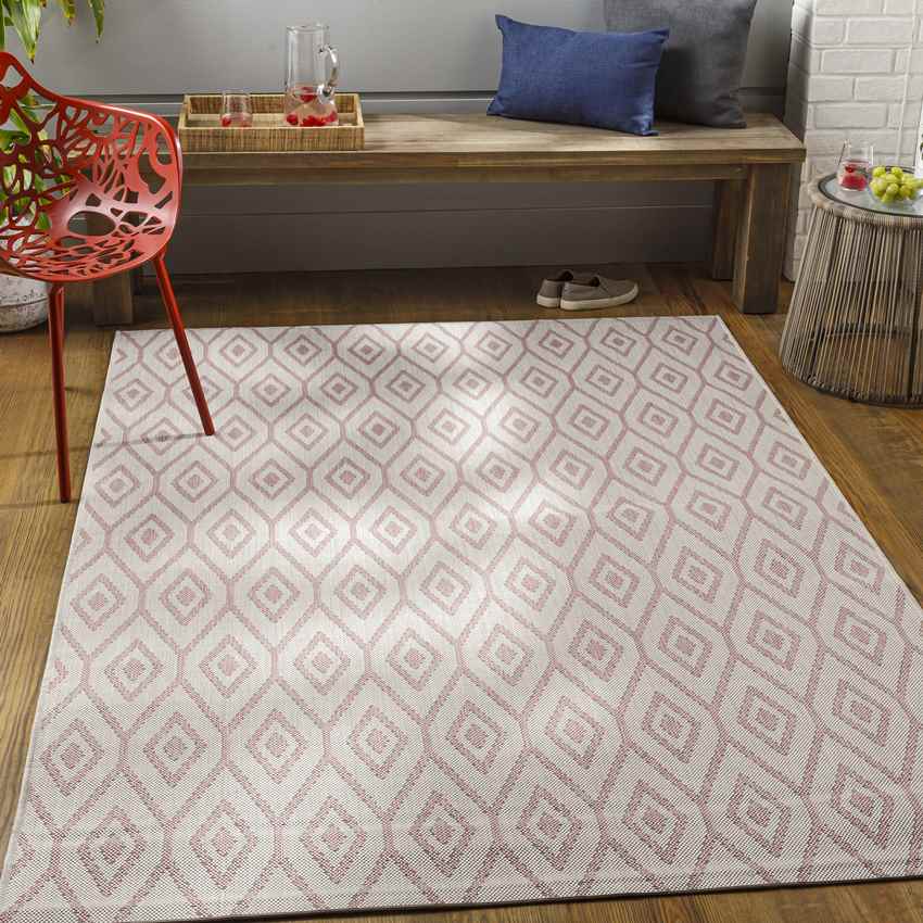 Varssel Traditional Pale Pink Area Rug