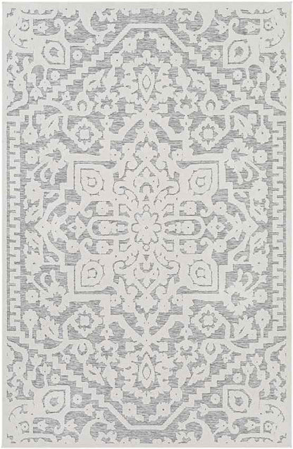 Terborg Traditional Medium Gray Area Rug