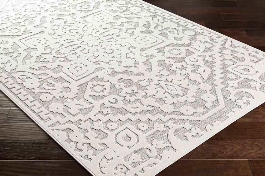 Terborg Traditional Medium Gray Area Rug