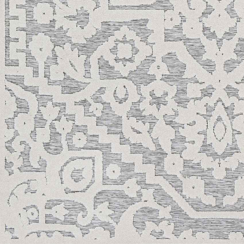 Terborg Traditional Medium Gray Area Rug