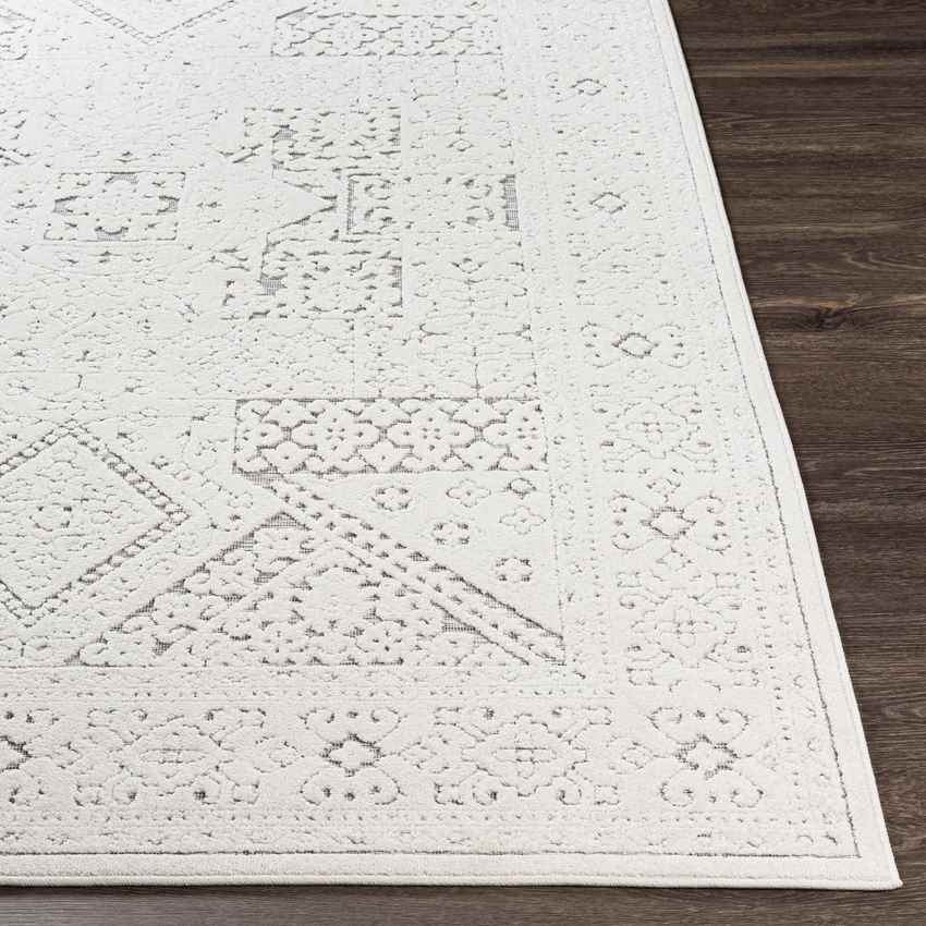 Terwolde Global Medium Gray Area Rug