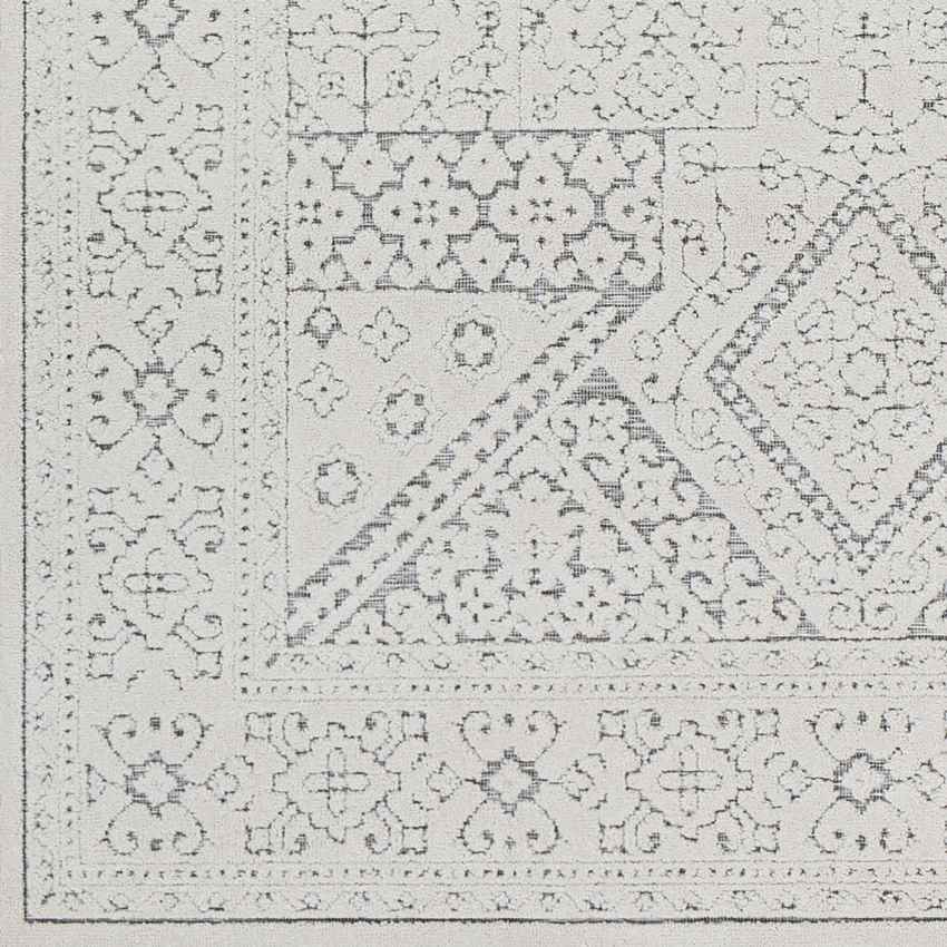 Terwolde Global Medium Gray Area Rug