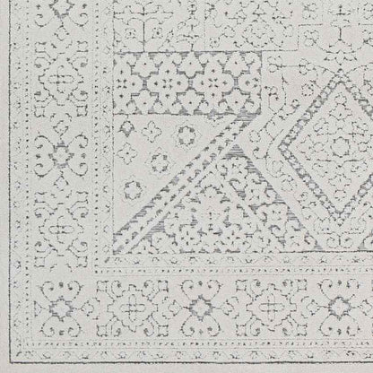 Terwolde Global Medium Gray Area Rug