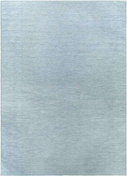 Tonsel Traditional Light Blue Area Rug