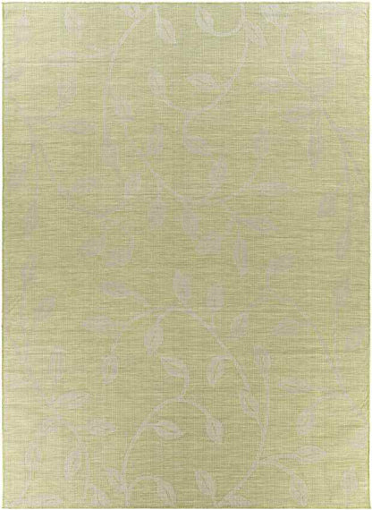 Broekhorn Traditional Moss Area Rug