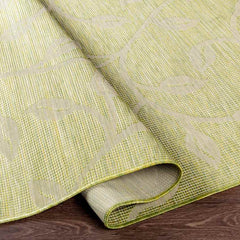 Broekhorn Traditional Moss Area Rug