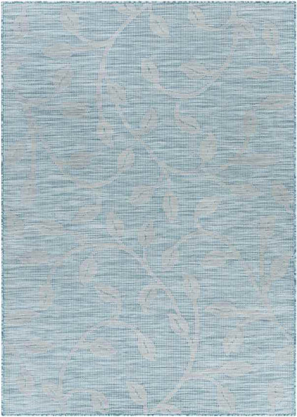 Broekhorn Traditional Aqua Area Rug