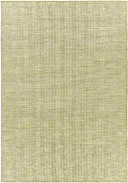 Bussum Traditional Grass Green Area Rug